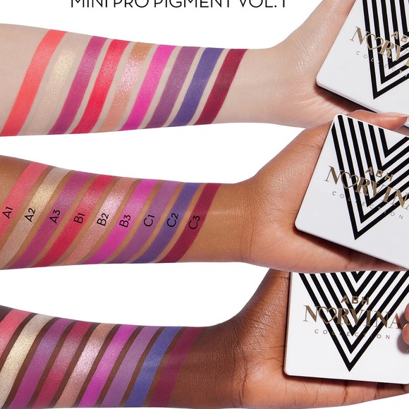 New ABH Mini NORVINA® Pro Pigment Palette Vol. 1 - Picture 12 of 16